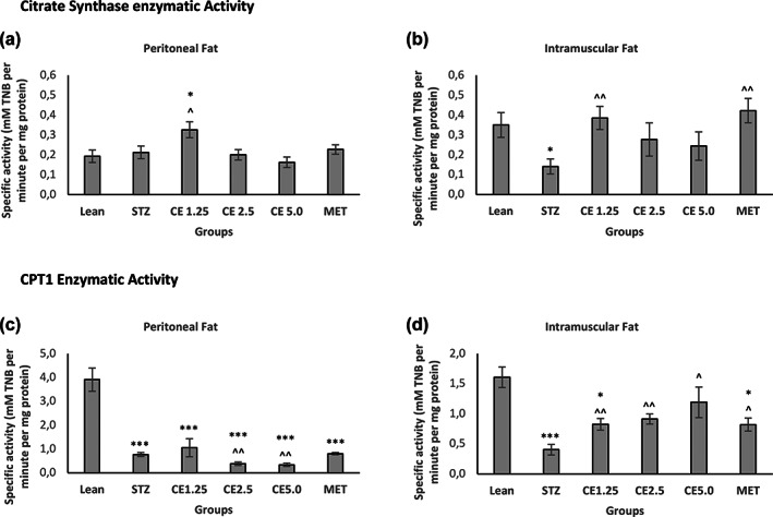 Citrate synthase and CPT1 activity in Peritoneal and Intramuscular Fat. Mitochondrial activity namely citrate synthase and CPT1 enzyme activities were measured both in Peritoneal (a,c) and Intramuscular Fat (b,d) respectively. Error bars represent ± standard error of mean (n = 6–7). *p < 0.05, **p < 0.01, ***p < 0.001 relative to Lean and ^p < 0.05, ^^p < 0.01 relative to STZ