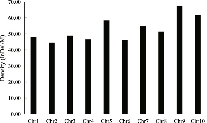 The number of Insert/Deletion (InDel) repeats on 10 chromosomes of Cannabis genome