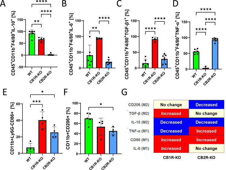 Bar graphs showing cytokine patterns in splenic macrophages after Salmonella infection. CB1R-KO mice exhibit pro-inflammatory shift with increased IL-6, TGF-β, and CD86. CB2R-KO mice show a distinct pattern with elevated TNF-α and altered M1/M2 polarization.