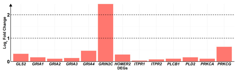 Barplot of DEGs highlighted in KEGG “Glutamatergic synapse pathway” (hsa04724). Each bar in the x-axis highlights the order of magnitude of log2 fold changes obtained by log2(∆8-THC/CTRL) in the y-axis. All DEGs taken into consideration are upregulated; thus, they are more expressed in ∆8-THC than CTRL.
