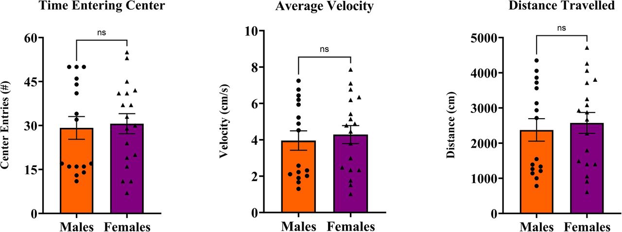 Open field measures among control offspring. Males and females do not differ in their entries into the center of the open field arena, nor their average velocity or distance travelled during the open field test. Abbreviations: NS = not statistically significant