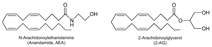 Chemical structures of AEA and 2-AG.