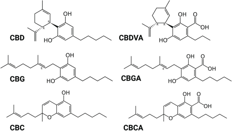 Structure of phytocannabinoids. Created with BioRender.com.