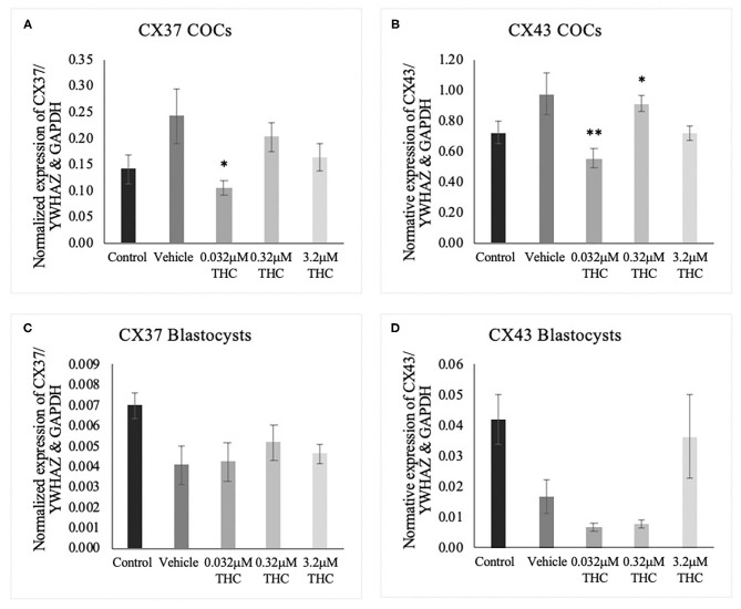 Connexin mRNA expression in cumulus-oocyte complexes (COCs) and blastocysts. (A) Normalized expression of connexin 37 (CX37) in 250 ng of total mRNA from 15 COCs to reference genes YWHAZ and GAPDH. (B) Normalized connexin 43 (CX43) expression in 250 ng of mRNA from 15 COCs. (C) Normalized expression of CX37 in 5 blastocysts. (D) Normalized expression of CX43 in 5 blastocysts. COCs were collected after 22 h of maturation in the treatment groups or fertilized, cultured and collected as blastocysts at day 8 post-fertilization. Total RNA was extracted and connexin mRNA was quantified using droplet digital PCR. Nine biological replicates were carried out in COCs and 5 biological replicates in blastocysts. Bars represent mean ± SEM. Significance is calculated in relation to the vehicle group. *p < 0.05, **p < 0.01.