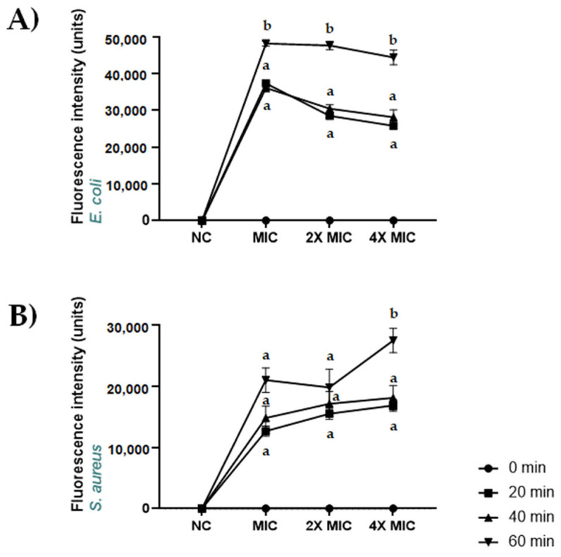 Membrane permeabilization induced by CBDA in S. aureus ATCC 6538 and E. coli ATCC 13762. Dose–response curves of membrane permeabilization of (A) S. aureus ATCC 6538 and (B) E. coli ATCC 13762, measured by SYTOX Green fluorescence. Basal values at 0 time are coincident with basal fluorescence intensity axis, where measures are indicated in a non-proportional scale. Bacterial cells were suspended in distilled water and treated with CBDA for 0, 20, 40 and 60 min, whereupon fluorescence was measured. Values are means with standard error bars of triplicate measurements and correspond to one representative experiment of the three. Multiple comparisons were performed by ANOVA. Different letters (a, b) indicate significant differences at p < 0.05 analyzed by ANOVA. NC: negative control.