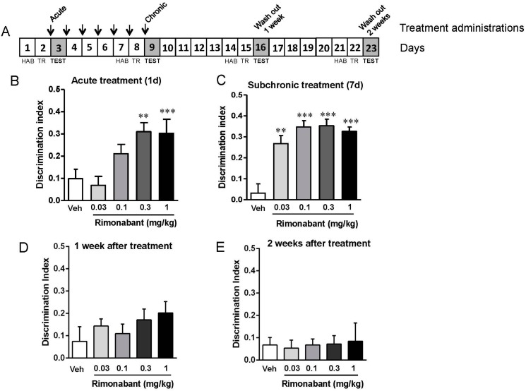 Low doses of rimonabant ameliorate the cognitive impairment present in the Fragile X Mental Retardation 1 (Fmr1) knockout (KO) mice. (A) Fmr1 KO mice were tested in the novel object recognition memory test after 1 day (Veh, n = 4; 0.03 mg/kg, n = 7; 0.1 mg/kg, n = 6; 0.3 mg/kg, n = 7; 1 mg/kg, n = 5); (B) and 7 days (Veh, n = 4; 0.03 mg/kg, n = 7; 0.1 mg/kg, n = 6; 0.3 mg/kg, n = 7; 1 mg/kg, n = 5); (C) of treatment with different doses of rimonabant (0.03 mg/kg, 0.1 mg/kg, 0.3 mg/kg, 1 mg/kg) or its vehicle. Drugs were administered after the training phase and discrimination indexes were obtained 24 h after training. Mice were also tested in the object recognition memory test 1 week (Veh, n = 4; 0.03 mg/kg, n = 7; 0.1 mg/kg, n = 7; 0.3 mg/kg, n = 7; 1 mg/kg, n = 5); (D) and 2 weeks (Veh, n = 4; 0.03 mg/kg, n = 7; 0.1 mg/kg, n = 6; 0.3 mg/kg, n = 7; 1 mg/kg, n = 5); (E) after the end of the treatment. Abbreviations: Veh, vehicle; HAB, habituation; TR, training. Data are expressed as mean ± SEM. ** p < 0.01 and *** p < 0.001 (rimonabant vs. vehicle treatment).