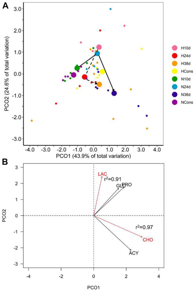 Plasmatic biochemical indicators in blue crab hemolymph. (A) Principal coordinate analysis (PCoA) of centroids and individual points per DO (N = normoxia; H = hypoxia) and sampling time (10d, 24d, and 38d in the thermal fluctuation, and the constant temperature). The lines follow the centroid trajectories (solid line = normoxia; dashed line = hypoxia) along the fluctuation. DO and sampling time combinations are referred as N10d (n = 6), N24d (n = 4), N38d (n = 6), NCons (n = 6), H10d (n = 4), H24d (n = 5), H38d (n = 9), and HCons (n = 5). (B) Biplot of biochemical indicators. Vectors in red and Pearson correlation values correspond to the most correlated variables with PCO1 and PCO2. LAC = lactate, GLU = glucose, PRO = total proteins, CHO = cholesterol, ACY = acylglycerides.