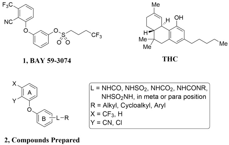 THC, BAY 59-3074 (1) and Compounds Prepared (2). To make (1) less CNS penetrating, the sulfonate linker (L) was swapped with a H-bond donating linker (amide, sulfonamide, carbamate, urea, and sulfamide. Changes to the trifluoromethyl (X), cyano (Y), and the trifluorobutyl group (R) of (1) were made to develop SAR with regard to potency and efficacy as described in Section 2.2.