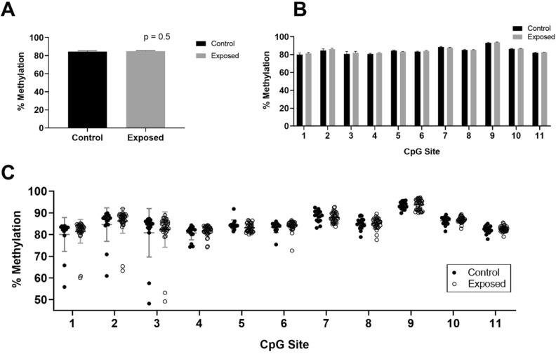 Intergenerational inheritance analysis. Methylation in the cerebral cortex of the F1 generation produced from control (black, n = 16) versus THC-exposed (gray, n = 35) F0 male rats. (A) Mean methylation (+ SEM) of the region of interest in Por of the offspring from parentally-unexposed versus exposed rats, (B) Methylation results (+ SEM) from (A) for the same population, displayed by individual CpG site. (C) Same data as in (A), except plotted to show methylation percentage at each CpG site in individual rats, with open circles representing progeny of THC-exposed fathers, while black dots represent the progeny of control fathers.